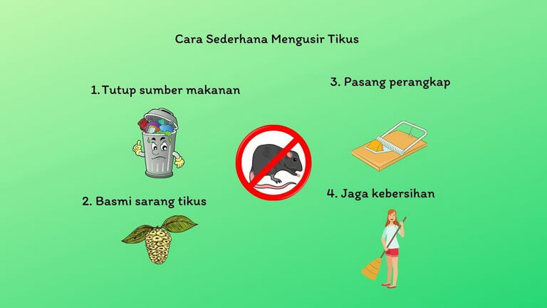 Mengusir tikus berkeliaran